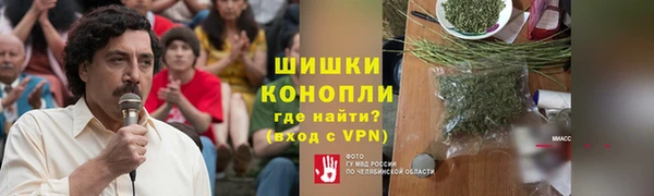 дурь Няндома