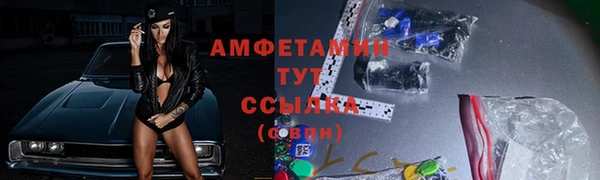 дурь Няндома