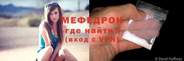 дурь Няндома