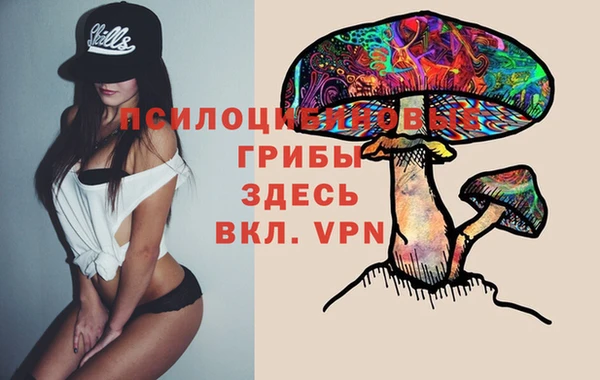ECSTASY Нязепетровск