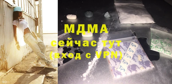 дурь Няндома