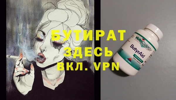 дурь Няндома