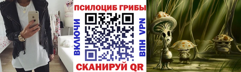 Галлюциногенные грибы GOLDEN TEACHER  Купить  Усть-Катав 