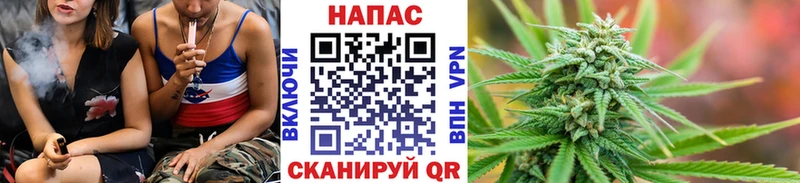 Купить закладки  Усть-Катав  Бошки Шишки гибрид 